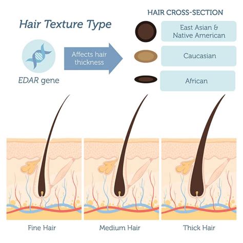 thick hair test|hair thickness quiz.